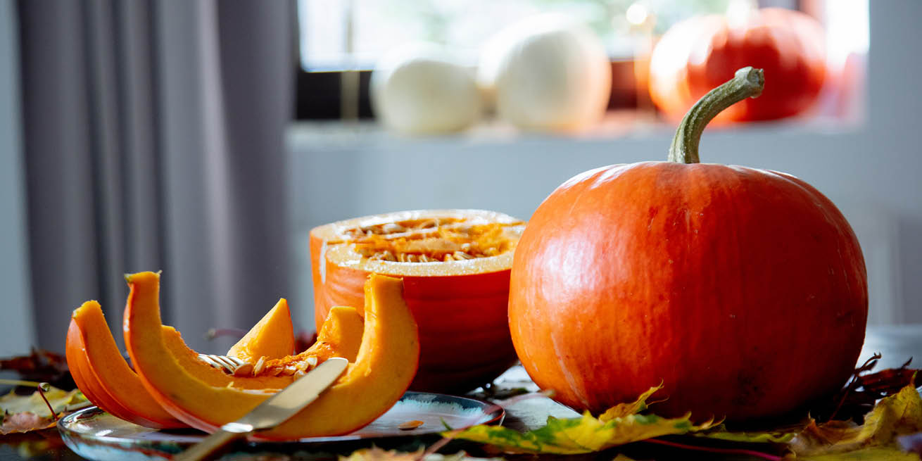 pumpkin-super-food-for-your-pooch-banixx