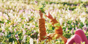 Spring